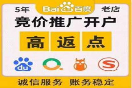大型SEM服务公司案例分析